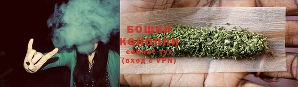 хмурый Инта