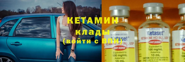 индика Каменногорск