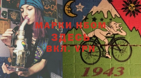 индика Каменногорск