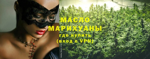 винт Каменка