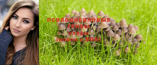 шишки Каменск-Шахтинский