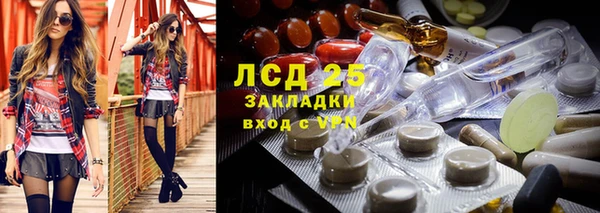 хмурый Инта