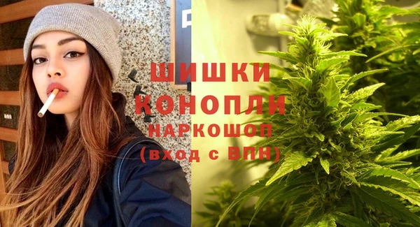 хмурый Инта