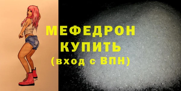 индика Каменногорск