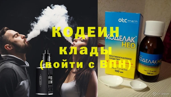 индика Каменногорск