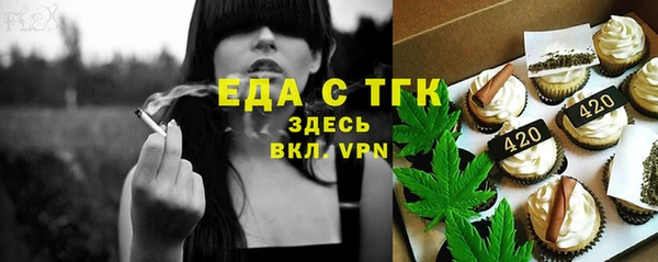 хмурый Инта