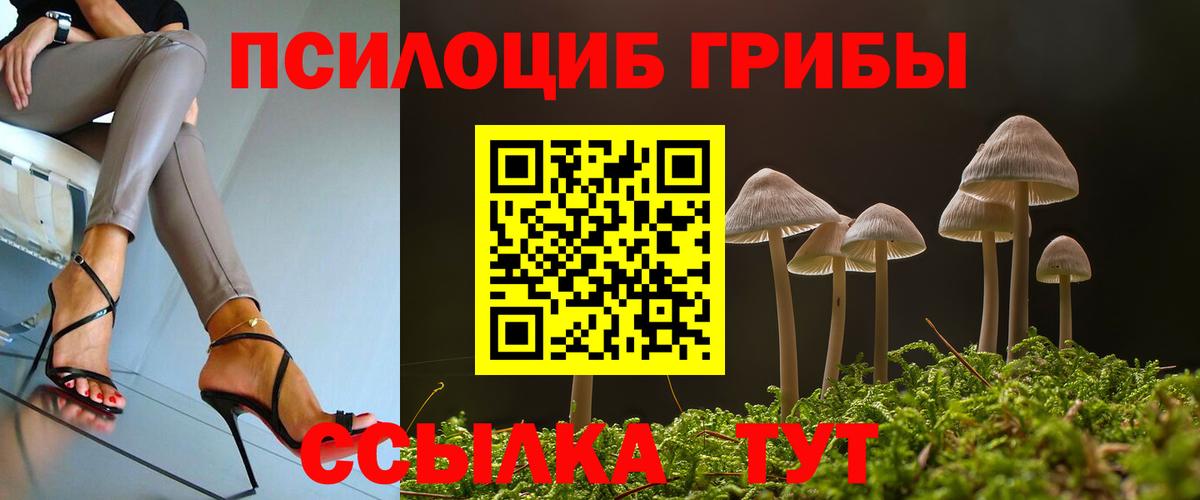 Галлюциногенные грибы MAGIC MUSHROOMS  Галлюциногенные грибы MAGIC MUSHROOMS  Тейково  Вход с VPN 
