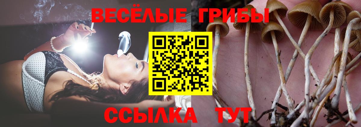 Галлюциногенные грибы мухоморы Тейково